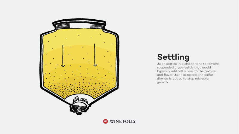 How-White-Wine-Is-Made-settling