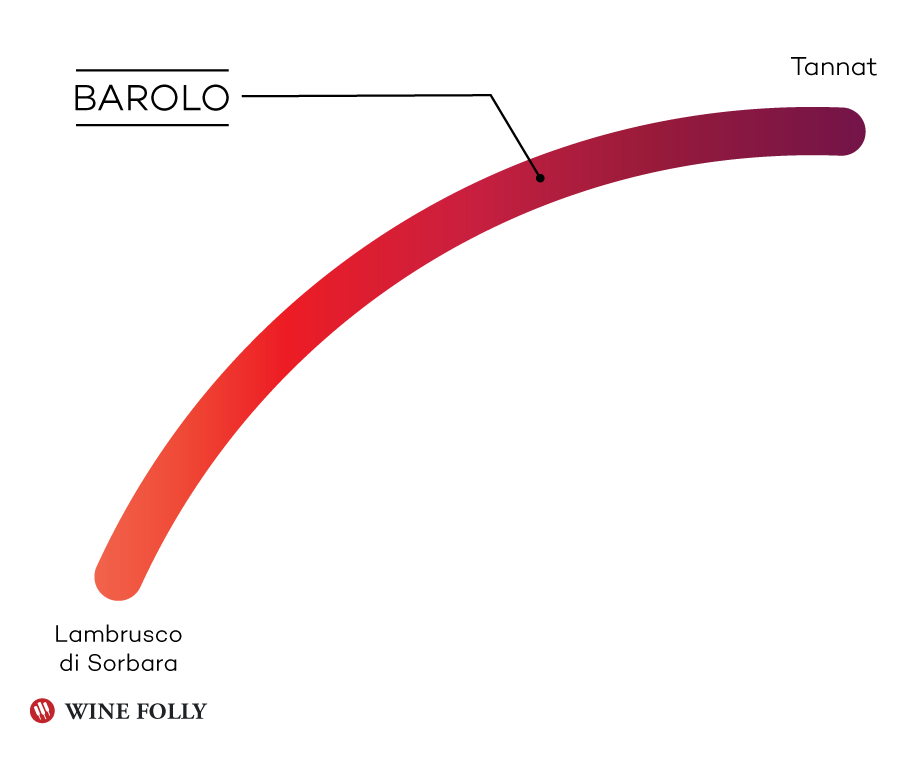 Barolo Taste Profile Infographic by Wine Folly