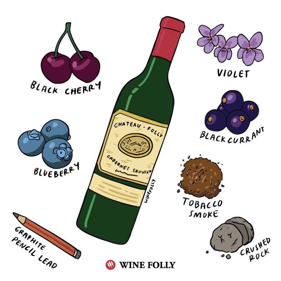 winefolly-illustrations-cabernet-sauvignon-bordeaux