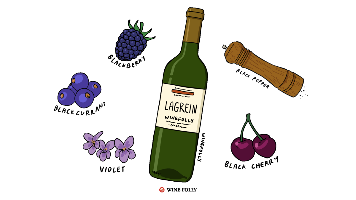 Alto Adige Lagrein Wine - Illustrated by Gerry Selian Wine Folly